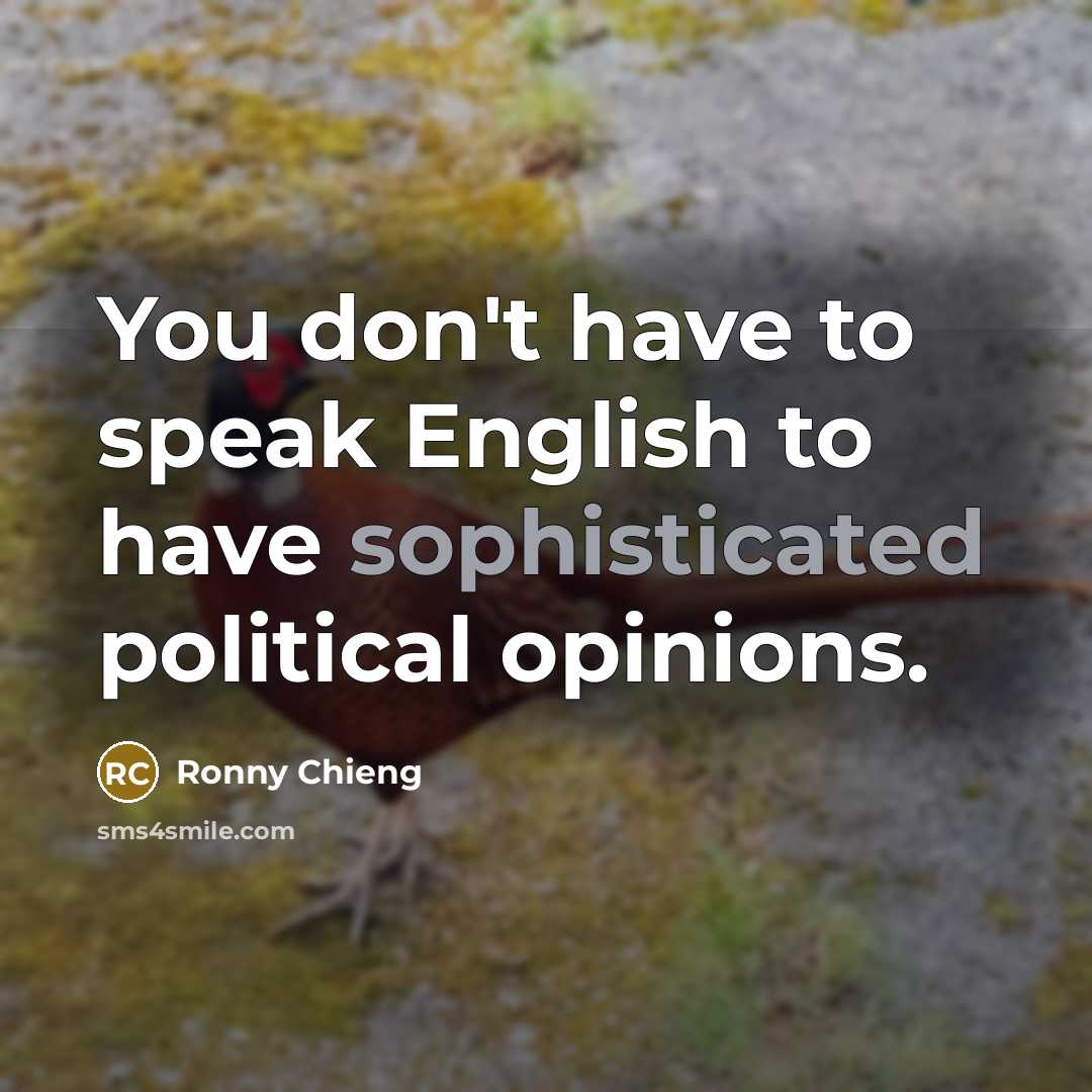 “You don't have to speak English to have sophisticated political…” quote by Ronny Chieng