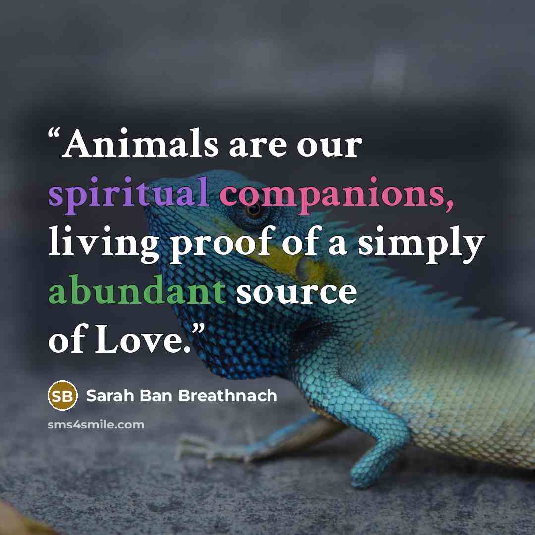 “Animals are our spiritual companions, living proof of a simply abundant source of Love.” quote by Sarah Ban Breathnach