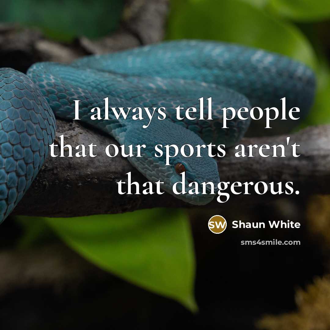 “I always tell people that our sports aren't that dangerous.…” quote by Shaun White