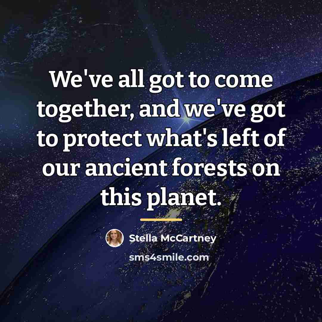 “We've all got to come together, and we've got to…” quote by Stella McCartney