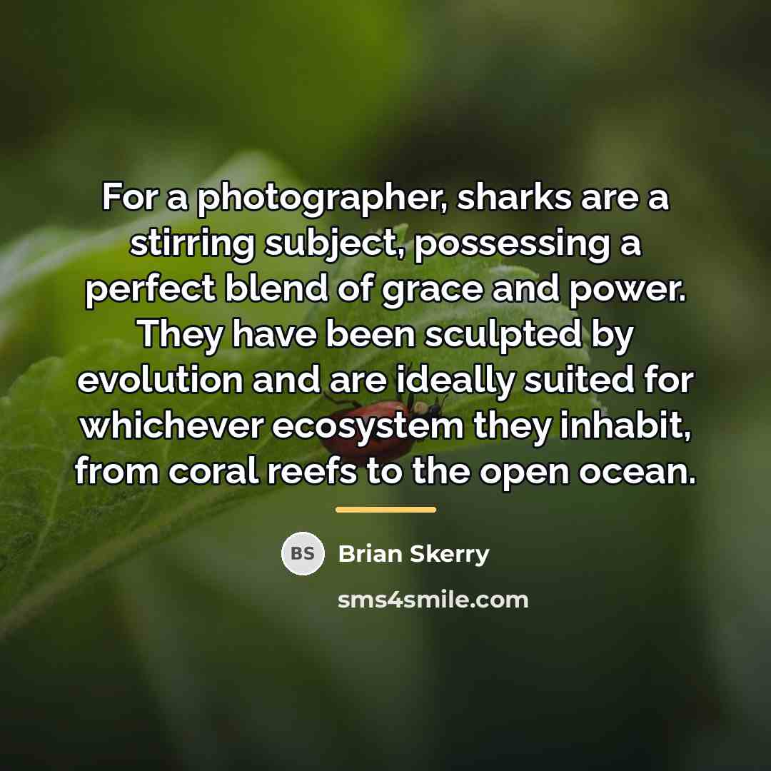 “For a photographer, sharks are a stirring subject, possessing a…” quote by Brian Skerry