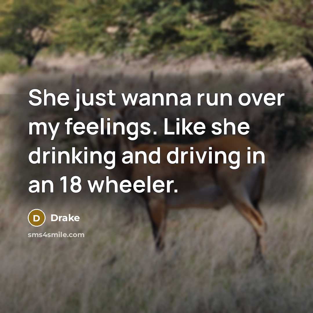 “She just wanna run over my feelings. Like she drinking…” quote by Drake