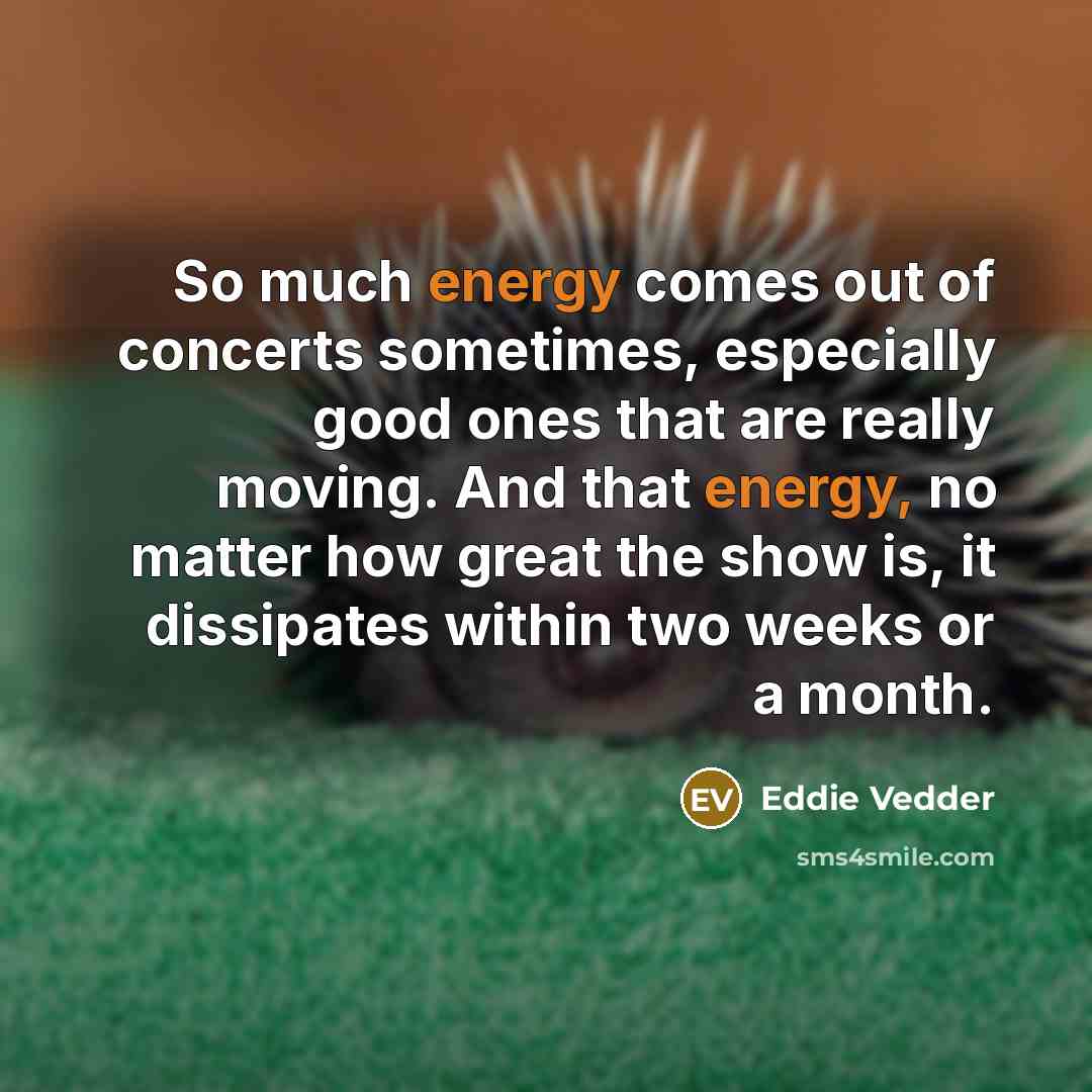 “So much energy comes out of concerts sometimes, especially good…” quote by Eddie Vedder