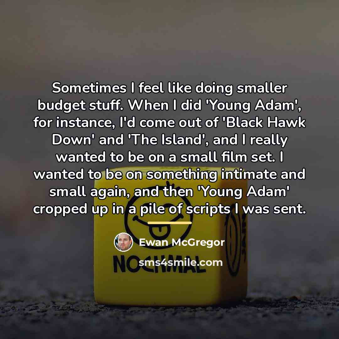 “Sometimes I feel like doing smaller budget stuff. When I…” quote by Ewan McGregor