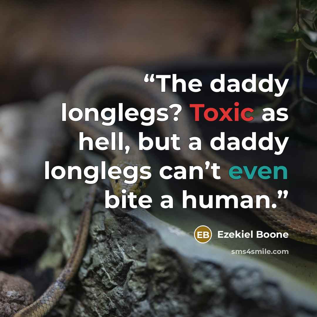 “The daddy longlegs? Toxic as hell, but a daddy longlegs can’t even bite a human.” quote by Ezekiel Boone