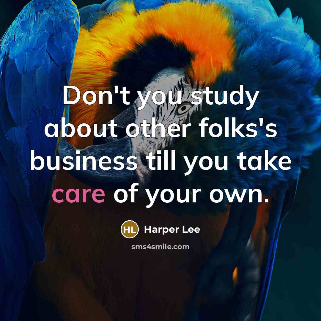 “Don't you study about other folks's business till you take…” quote by Harper Lee
