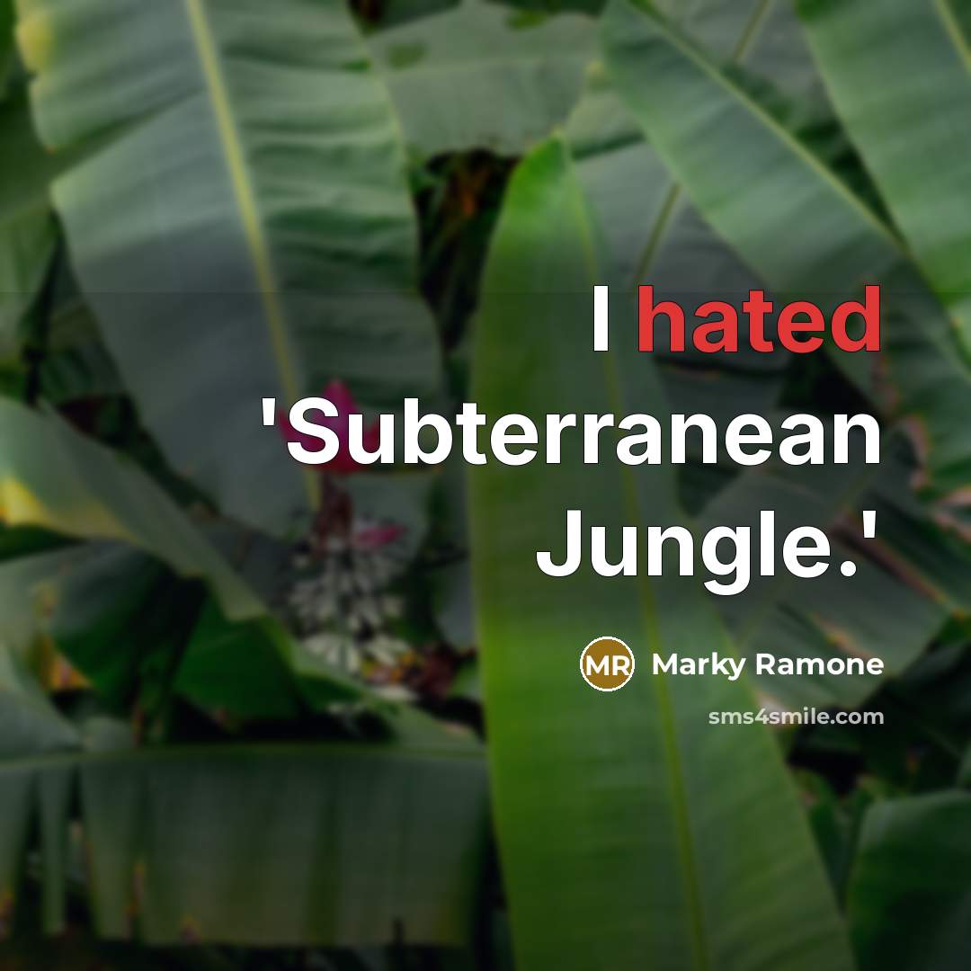 “I hated 'Subterranean Jungle.'…” quote by Marky Ramone