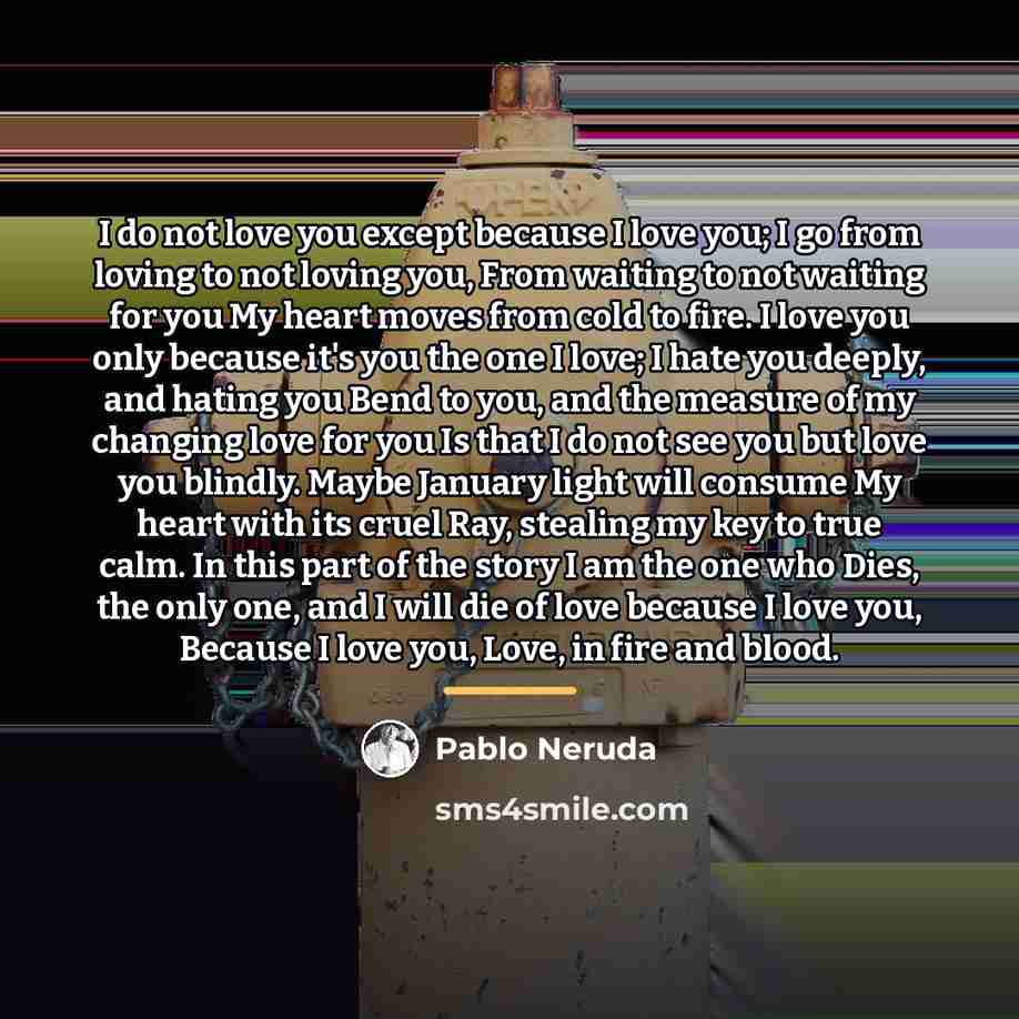 “I do not love you except because I love you;…” quote by Pablo Neruda
