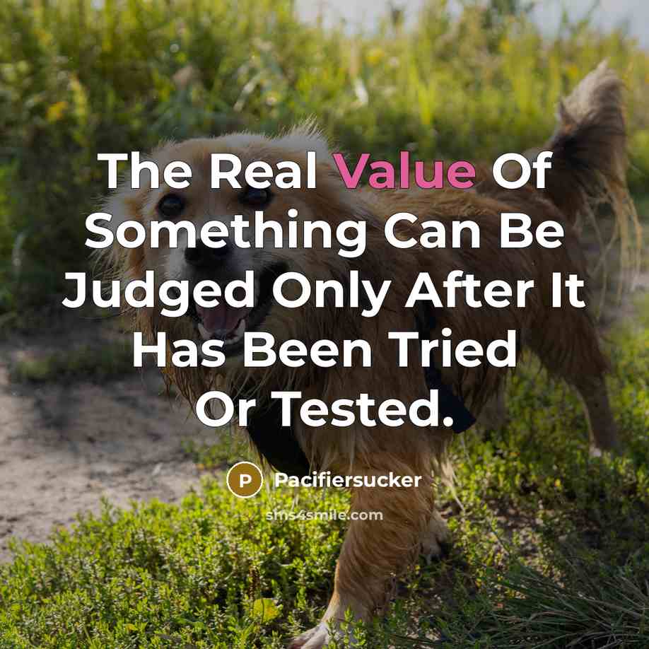 “The Real Value Of Something Can Be Judged Only After…” quote by Pacifiersucker