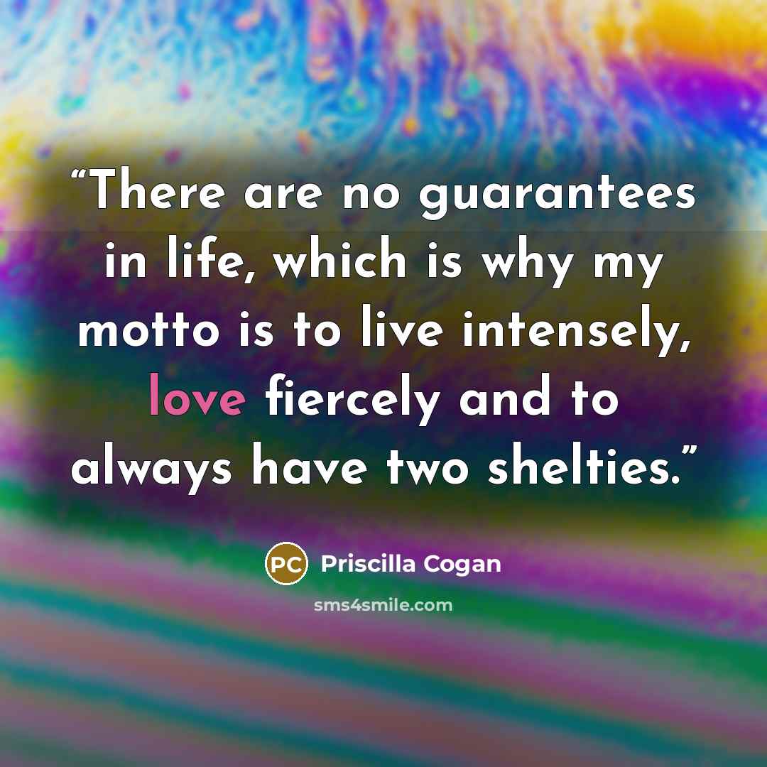 “There are no guarantees in life, which is why my motto is to live intensely, love fiercely and to always have two shelties.” quote by Priscilla Cogan