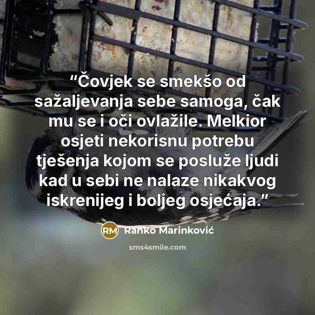 “Čovjek se smekšo od sažaljevanja sebe samoga, čak mu se i oči ovlažile. Melkior osjeti nekorisnu potrebu tješenja kojom se posluže ljudi kad u sebi ne nalaze nikakvog iskrenijeg i boljeg osjećaja.” quote by Ranko Marinković
