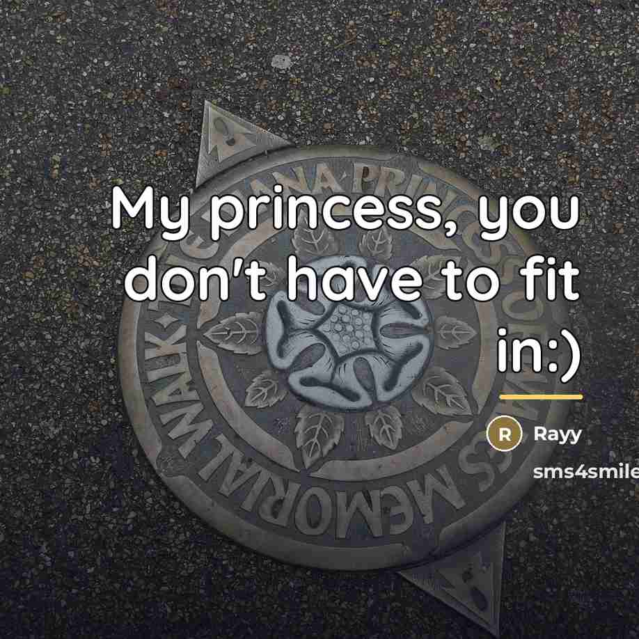 “My princess, you don't have to fit in:)…” quote by Rayy