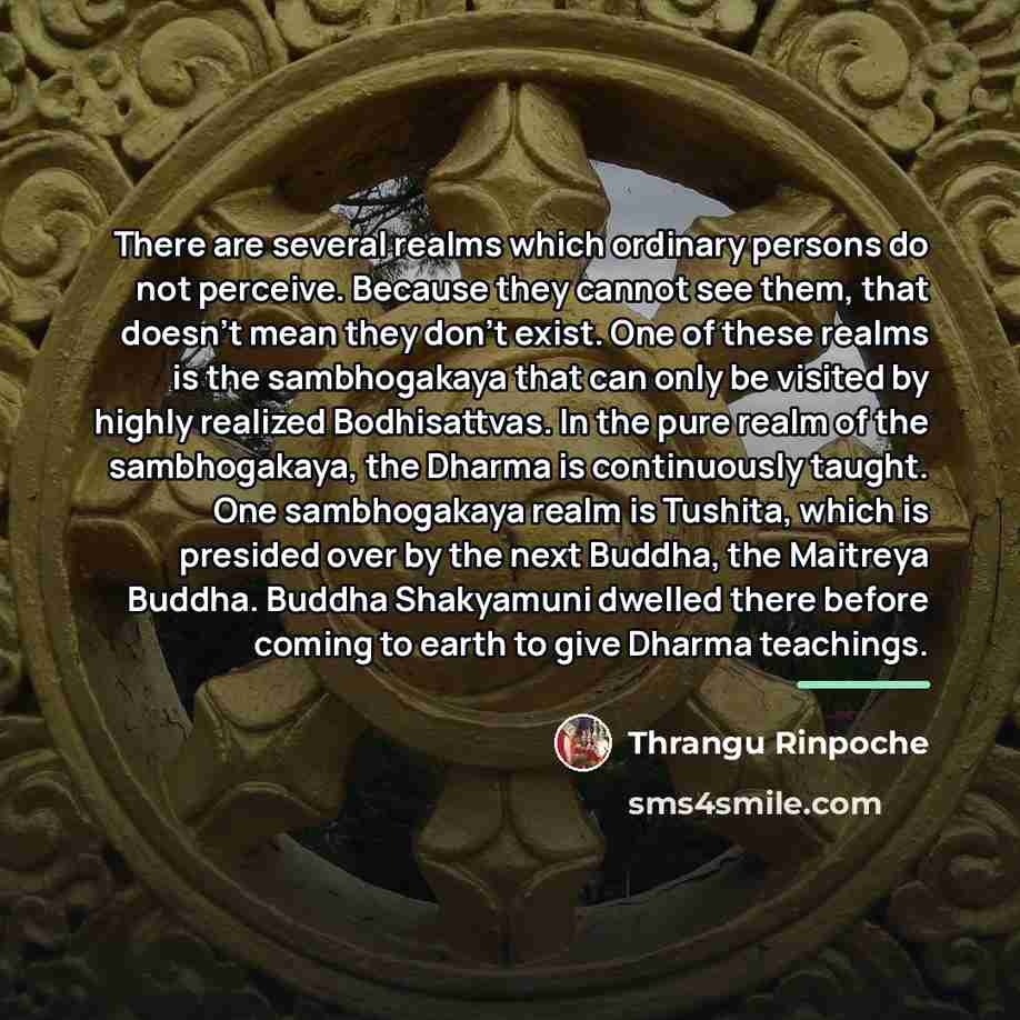 “There are several realms which ordinary persons do not perceive.…” quote by Thrangu Rinpoche