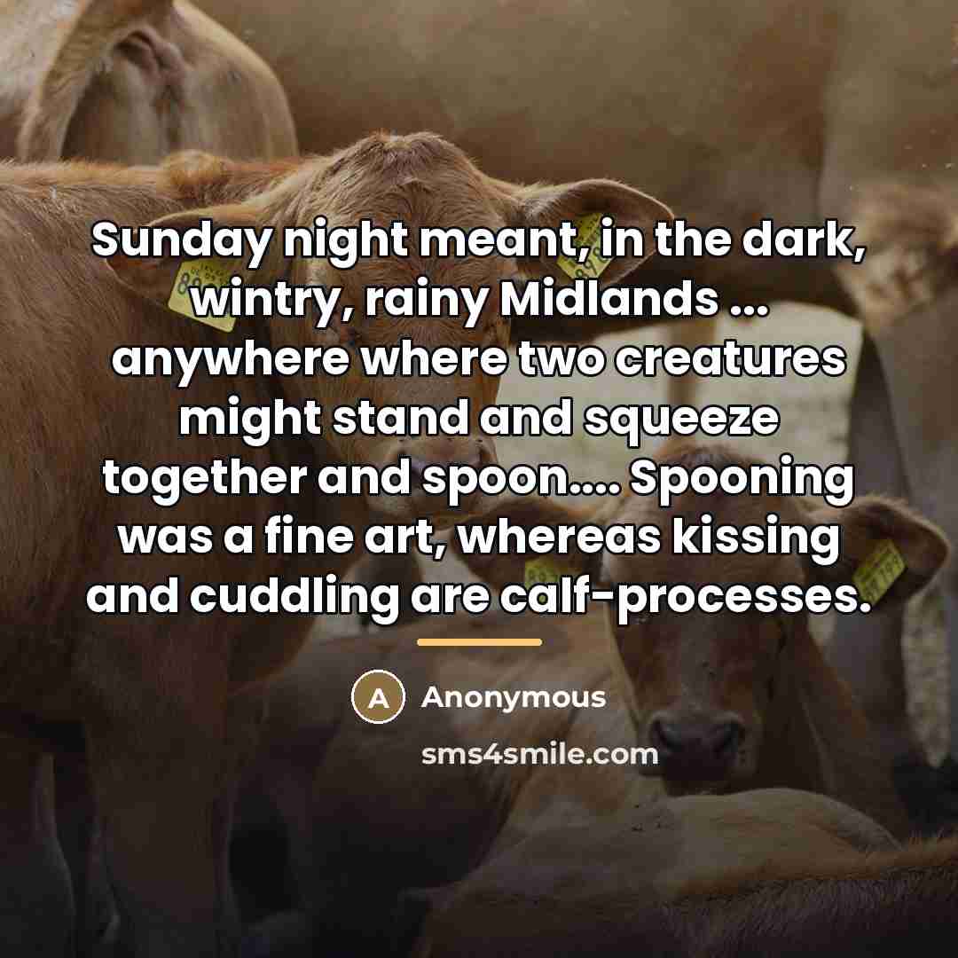 “Sunday night meant, in the dark, wintry, rainy Midlands ...…” quote by Anonymous
