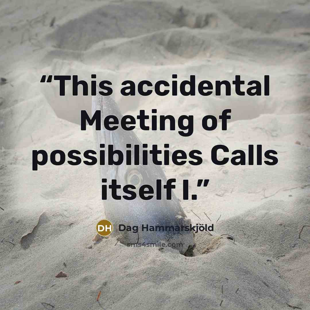 “This accidental Meeting of possibilities Calls itself I.” quote by Dag Hammarskjold