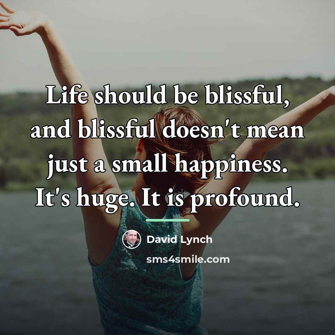“Life should be blissful, and blissful doesn't mean just a…” quote by David Lynch