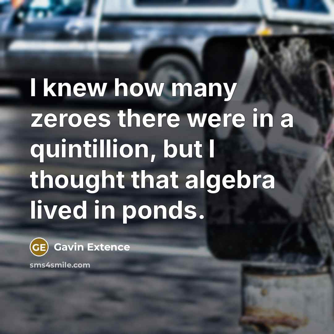 “I knew how many zeroes there were in a quintillion,…” quote by Gavin Extence