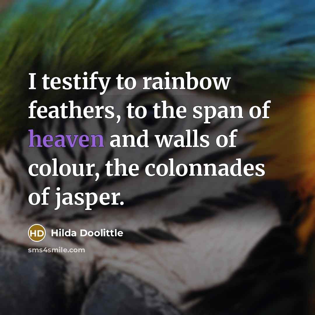 “I testify to rainbow feathers, to the span of heaven…” quote by Hilda Doolittle
