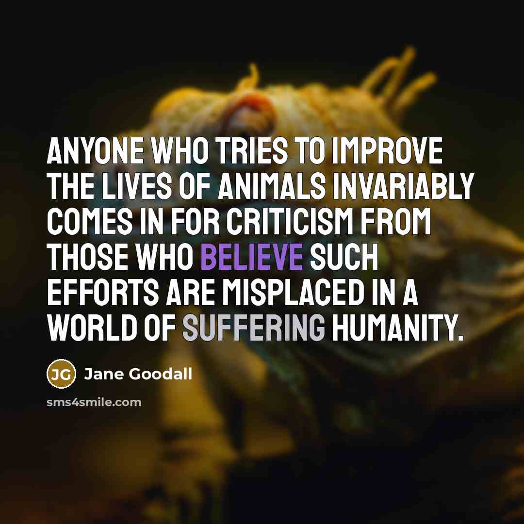 “Anyone who tries to improve the lives of animals invariably…” quote by Jane Goodall