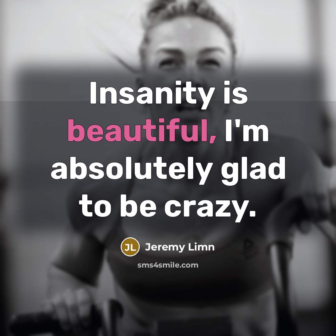 “Insanity is beautiful, I'm absolutely glad to be crazy.…” quote by Jeremy Limn