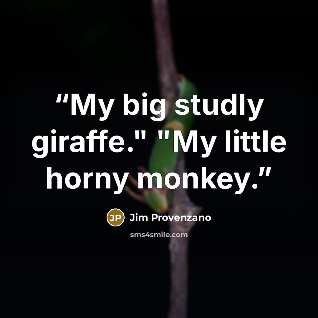 “My big studly giraffe." "My little horny monkey.” quote by Jim Provenzano