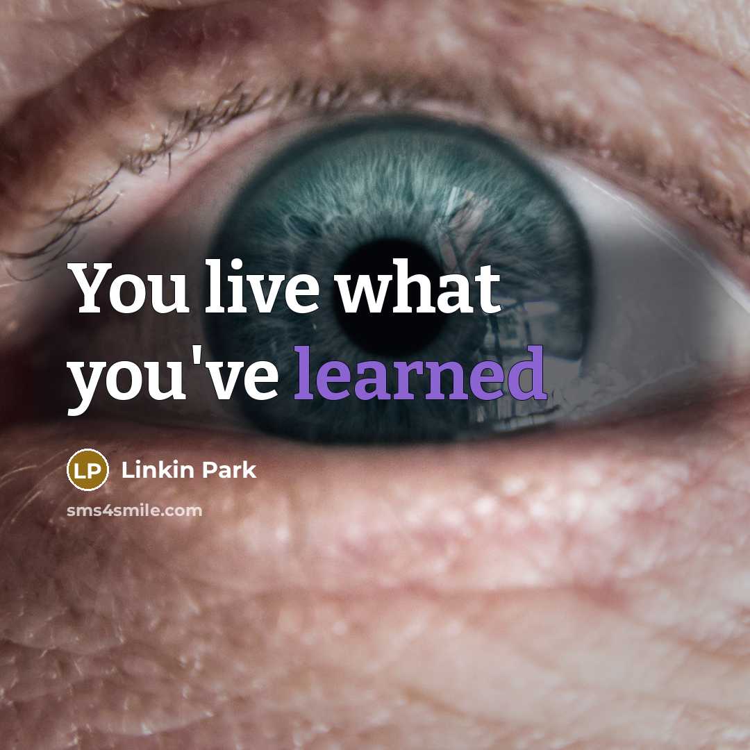 “You live what you've learned…” quote by Linkin Park