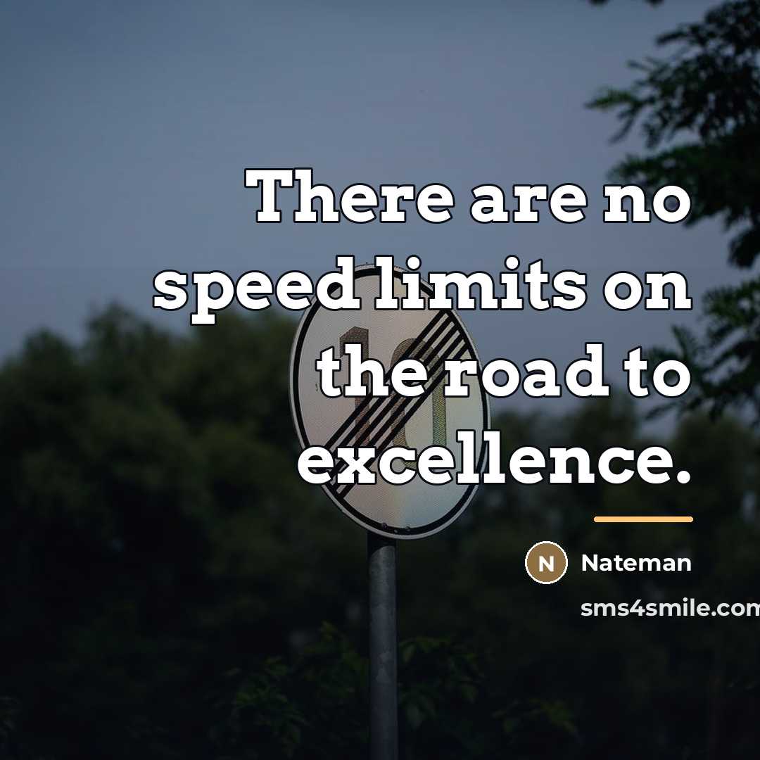 “There are no speed limits on the road to excellence.…” quote by Nateman