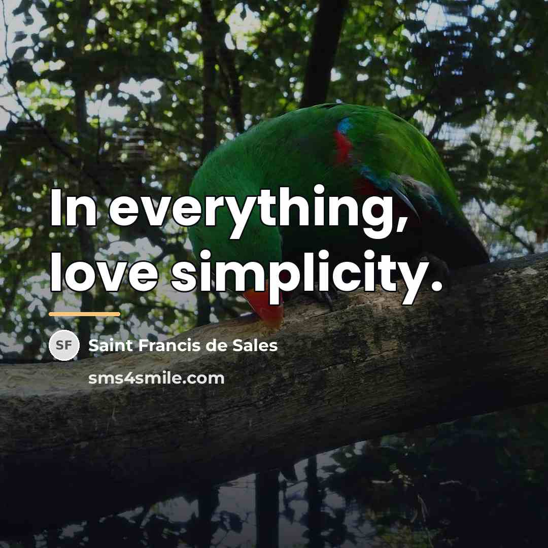 “In everything, love simplicity.…” quote by Saint Francis de Sales