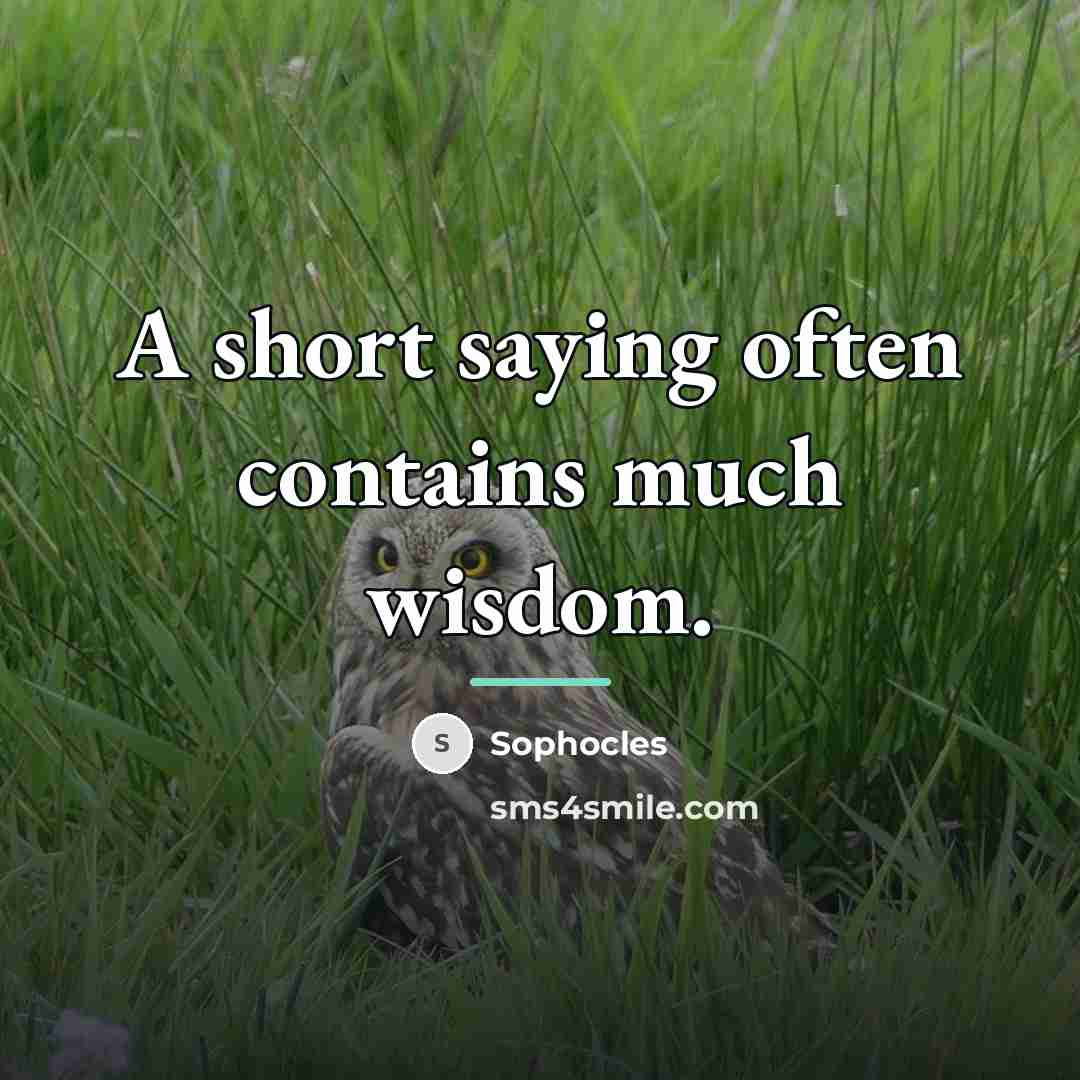“A short saying often contains much wisdom.…” quote by Sophocles