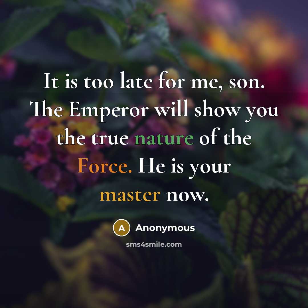 “It is too late for me, son. The Emperor will show you the true nature of the Force. He is your master now.” quote by Anonymous
