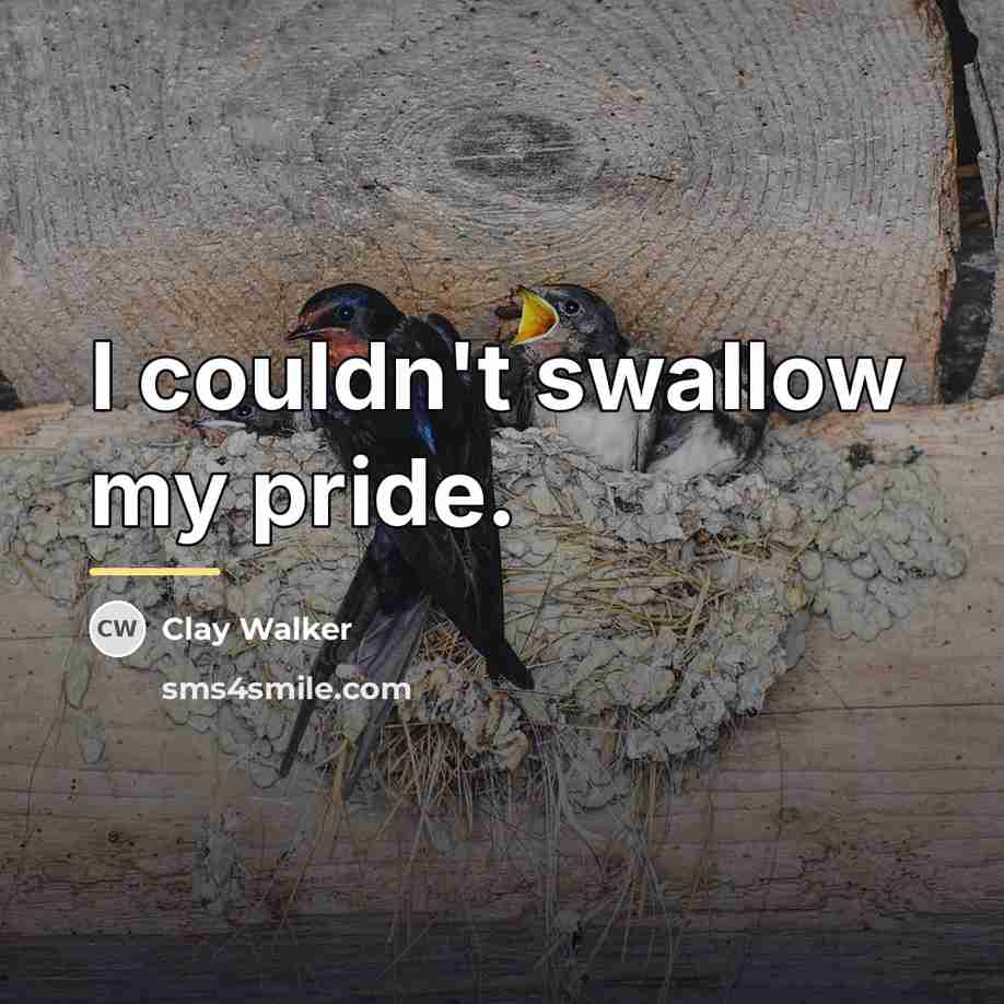 “I couldn't swallow my pride.…” quote by Clay Walker