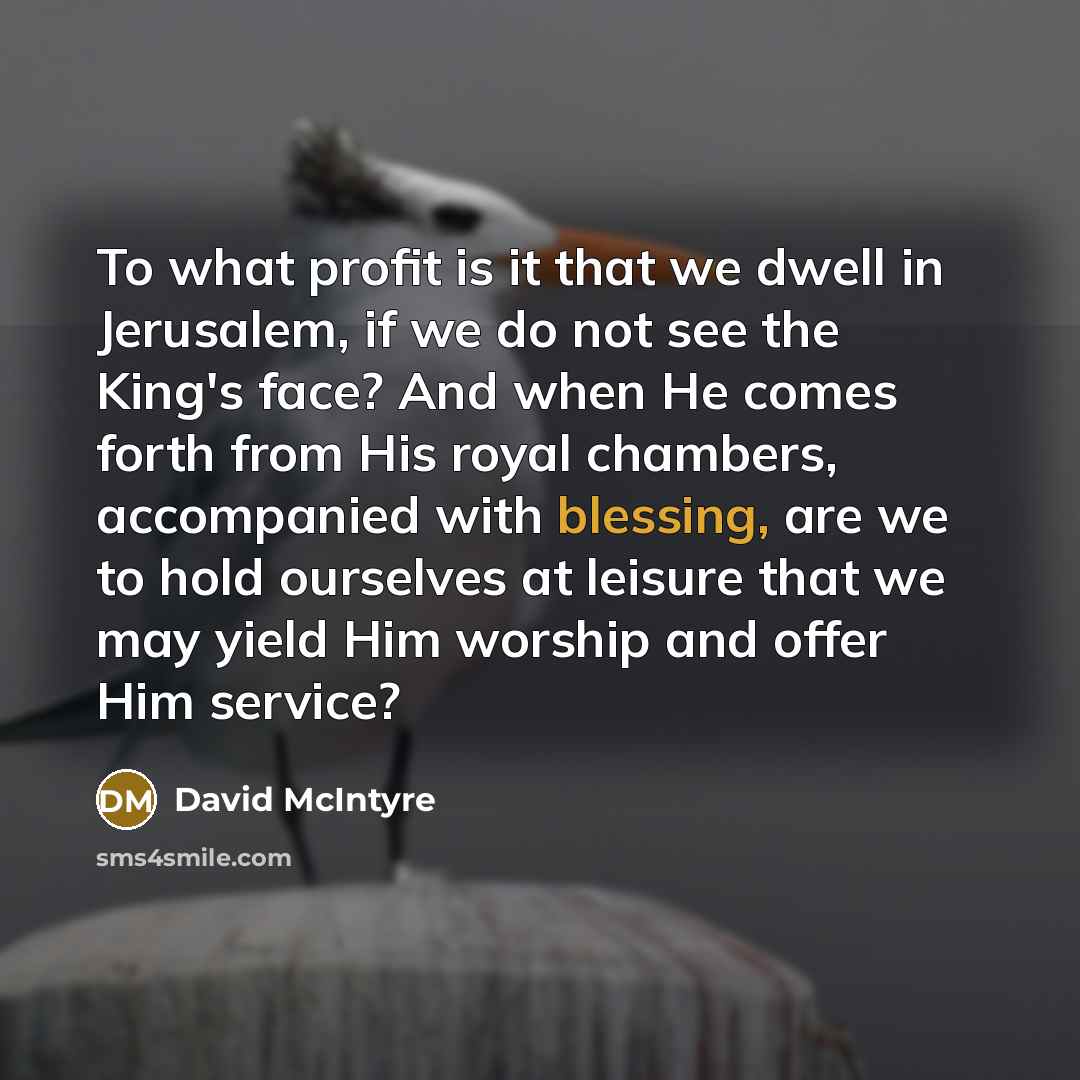 “To what profit is it that we dwell in Jerusalem,…” quote by David McIntyre