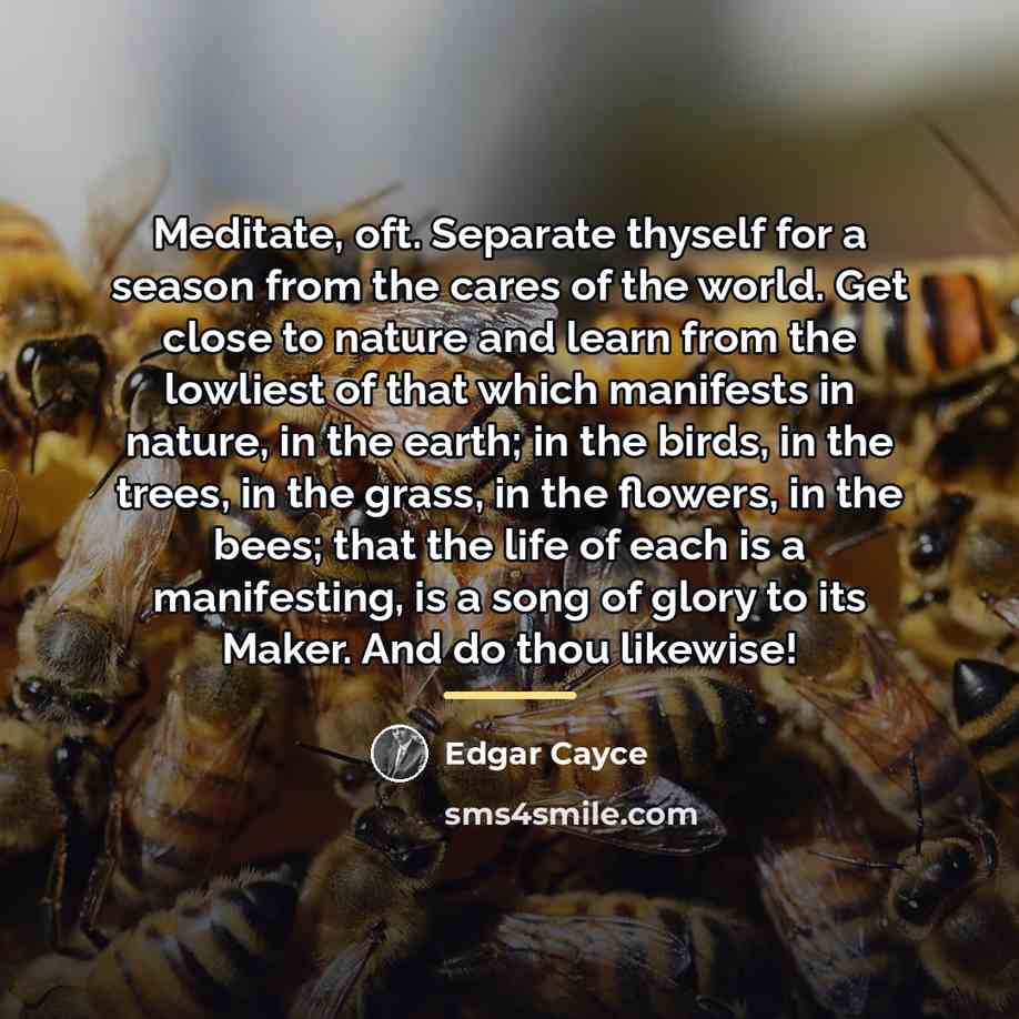 “Meditate, oft. Separate thyself for a season from the cares…” quote by Edgar Cayce