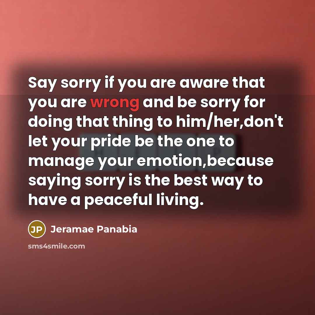 “Say sorry if you are aware that you are wrong…” quote by Jeramae Panabia