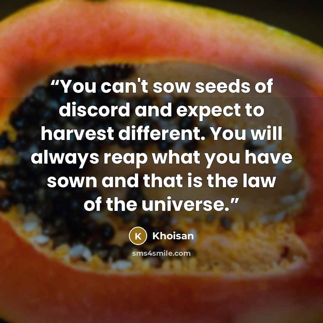 “You can't sow seeds of discord and expect to harvest different. You will always reap what you have sown and that is the law of the universe.” quote by Khoisan