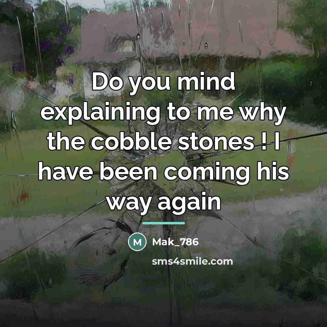 “Do you mind explaining to me why the cobble stones…” quote by Mak_786