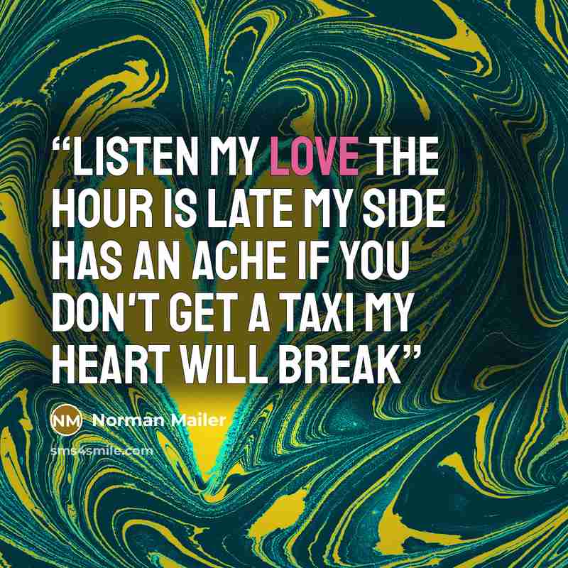 “Listen my love the hour is late my side has an ache If you don't get a taxi my heart will break” quote by Norman Mailer