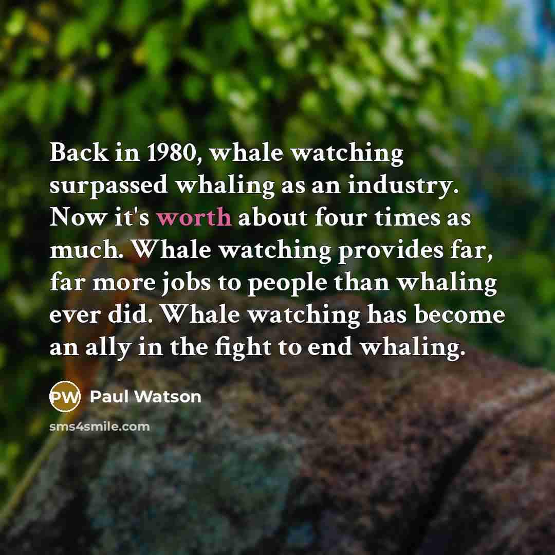 “Back in 1980, whale watching surpassed whaling as an industry.…” quote by Paul Watson