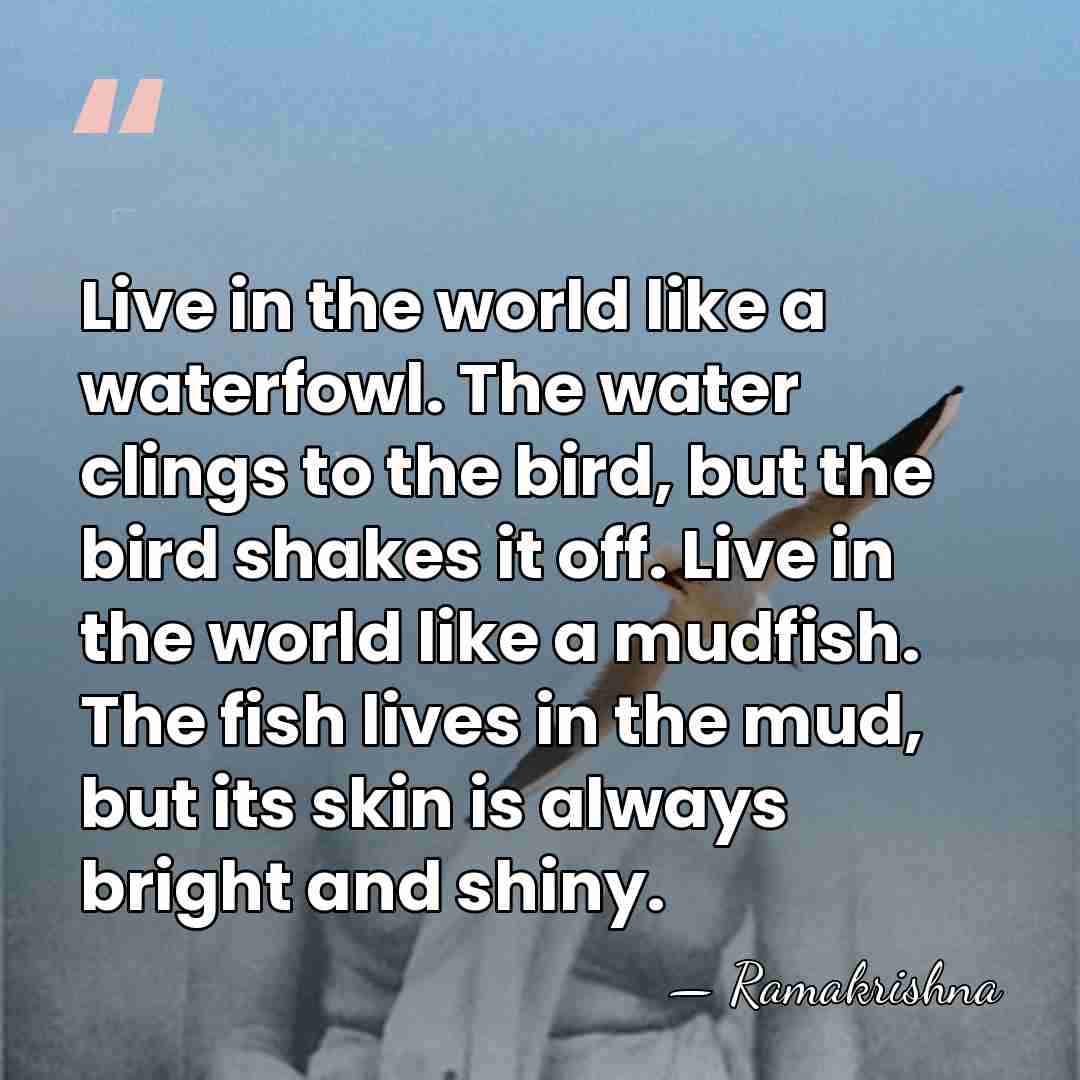 Live in the world like a waterfowl. The water clings to the&hellip; - Ramakrishna