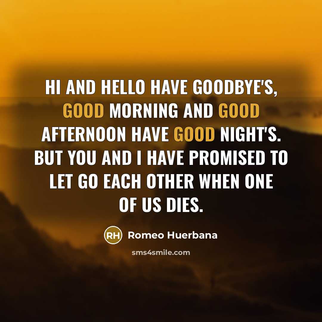 “Hi and hello have goodbye's, good morning and good afternoon…” quote by Romeo Huerbana