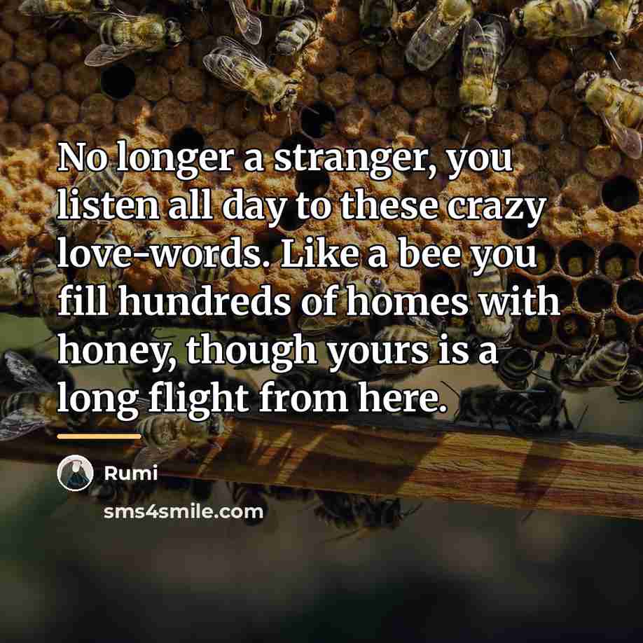 “No longer a stranger, you listen all day to these…” quote by Rumi
