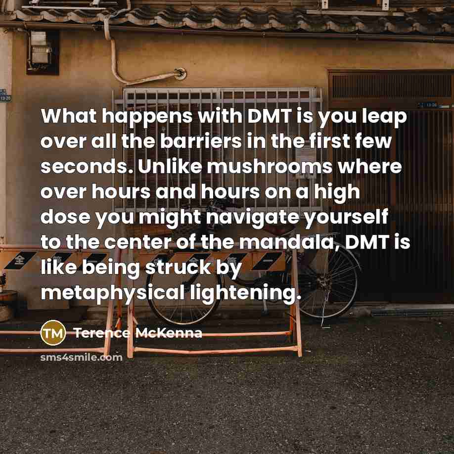 “What happens with DMT is you leap over all the…” quote by Terence McKenna