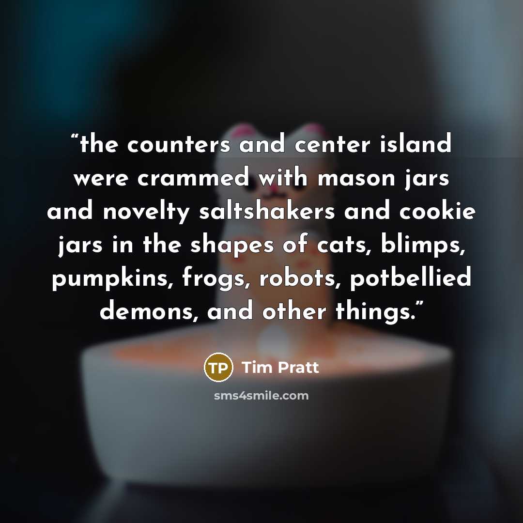 “the counters and center island were crammed with mason jars and novelty saltshakers and cookie jars in the shapes of cats, blimps, pumpkins, frogs, robots, potbellied demons, and other things.” quote by Tim Pratt