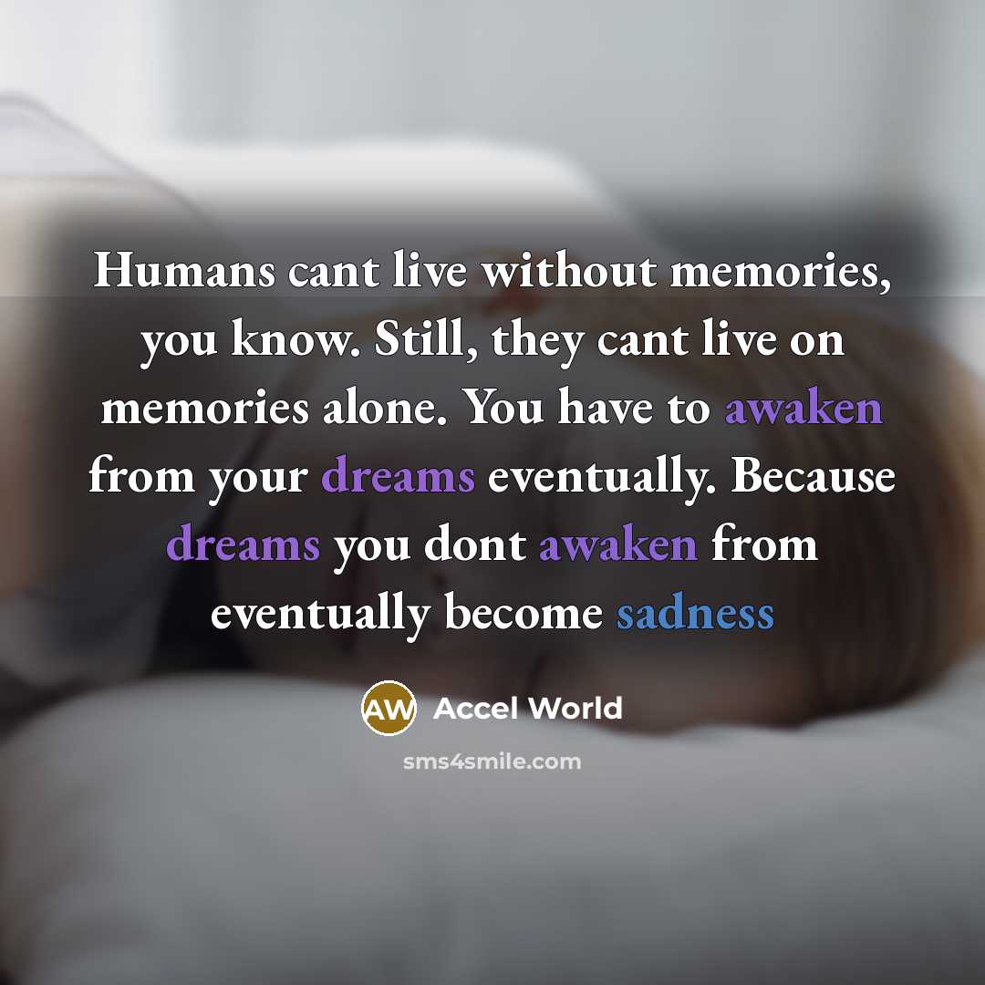 “Humans cant live without memories, you know. Still, they cant…” quote by Accel World