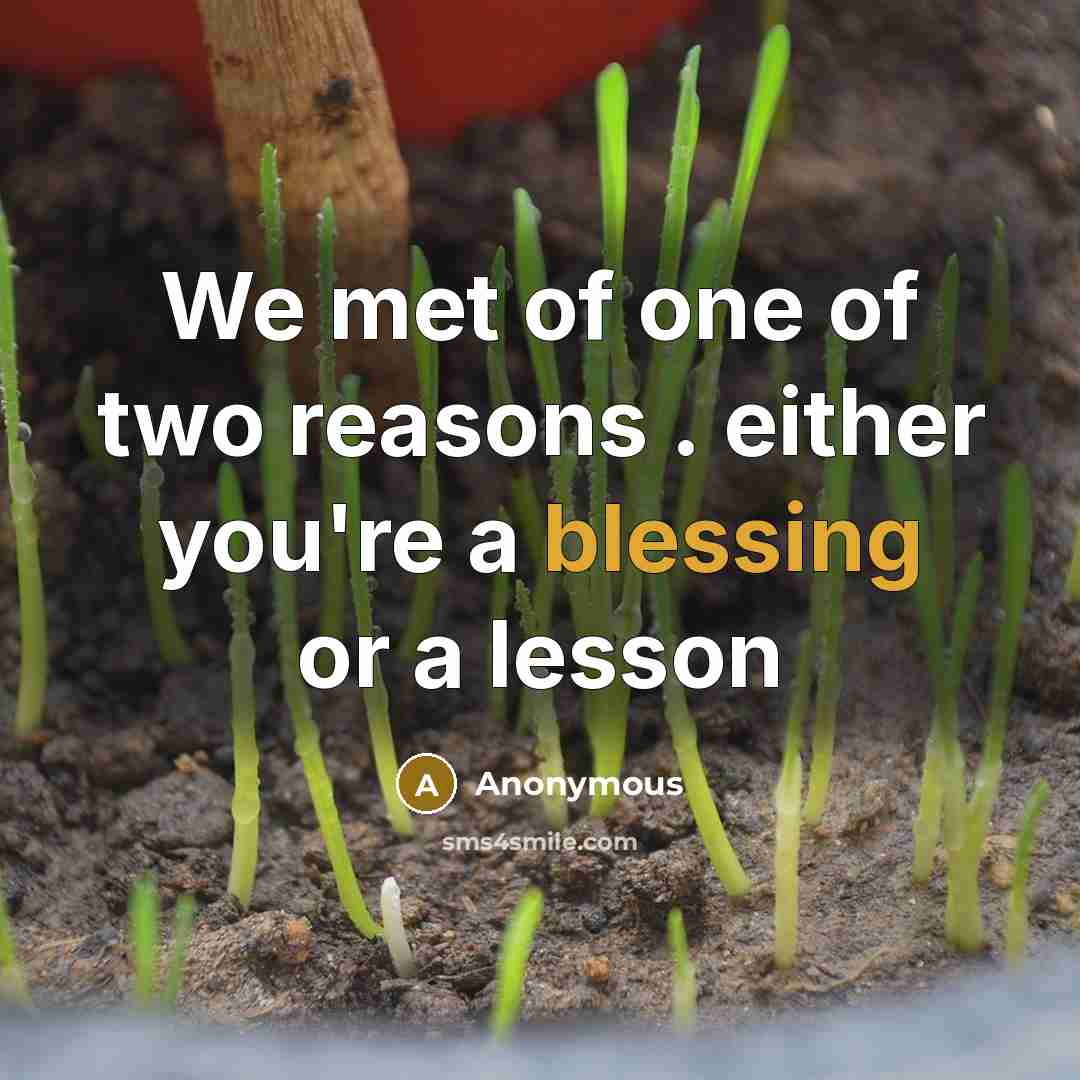 “We met of one of two reasons . either you're…” quote by Anonymous