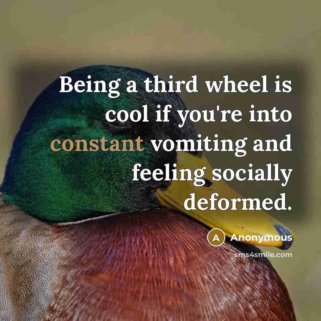 “Being a third wheel is cool if you're into constant…” quote by Anonymous