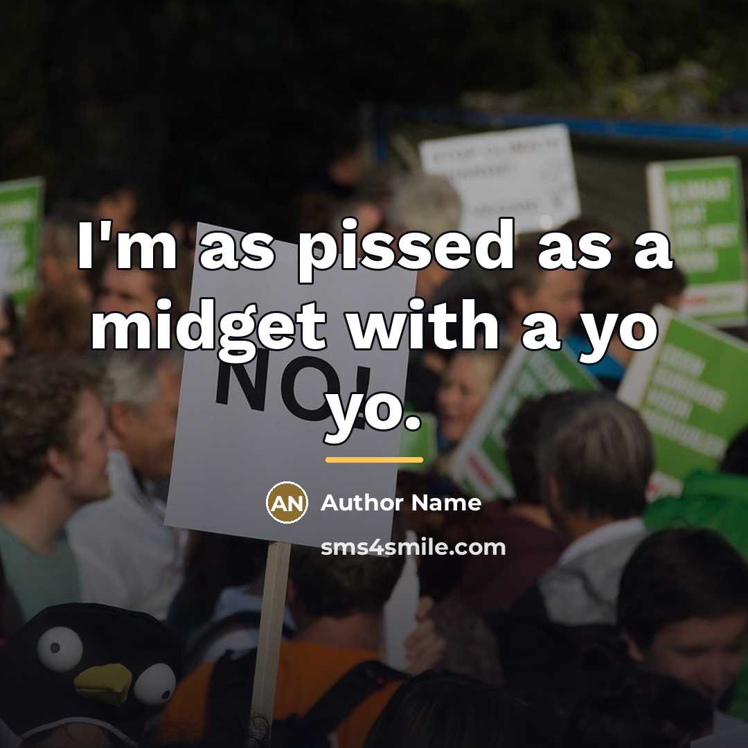 “I'm as pissed as a midget with a yo yo.…” quote by Author Name