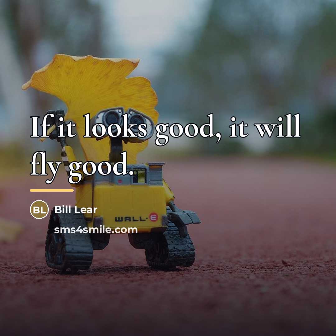 “If it looks good, it will fly good.…” quote by Bill Lear