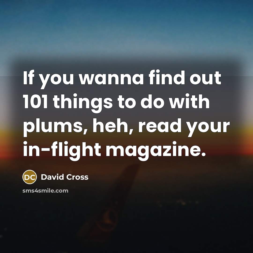“If you wanna find out 101 things to do with…” quote by David Cross