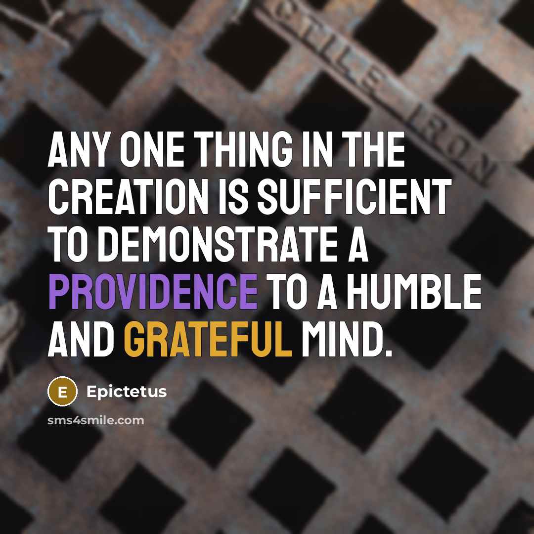 “Any one thing in the creation is sufficient to demonstrate…” quote by Epictetus
